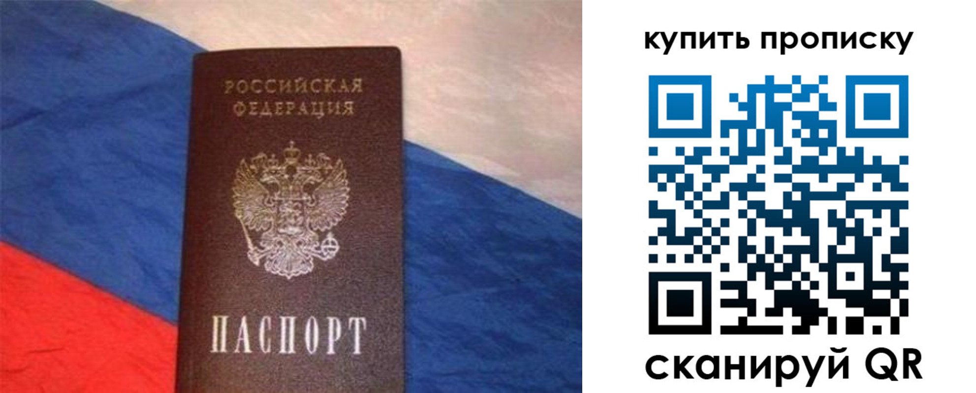 прописка штамп в Светлом